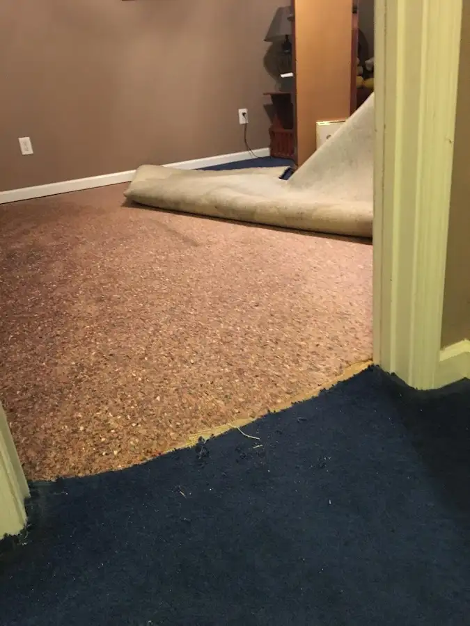 Carpet pad removal revealing water damage during Drying & Dehumidification in Western Springs