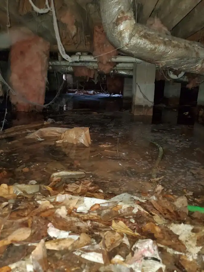 Crawl space flood assessment for Leak Detection & Repair in Western Springs