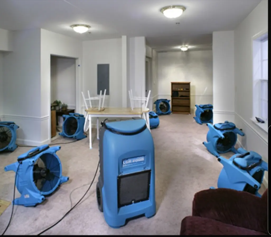 Air movers and dehumidifier setup for Water Extraction & Removal in Western Springs